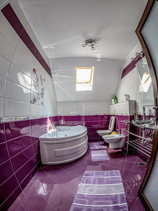 Casa Iulia Villa Pojorîta Eksteriør bilde