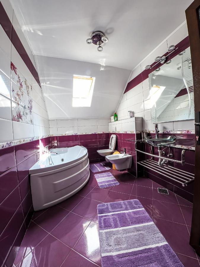Casa Iulia Villa Pojorîta Eksteriør bilde